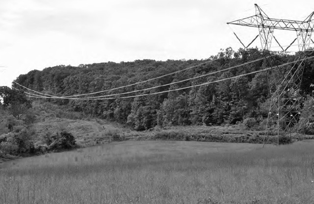 Where the battle began  at Fox's Gap .jpg