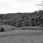 Where the battle began  at Fox's Gap .jpg